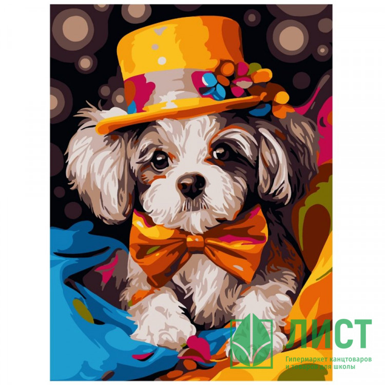 Картина по номерам 28,5x38см (LORI) Фокусник арт.Кпн-351