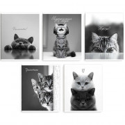 Тетрадь А5 клетка 48 листов скоба Феникс Монохромные коты выборочный твин-лак ассорти арт.70920