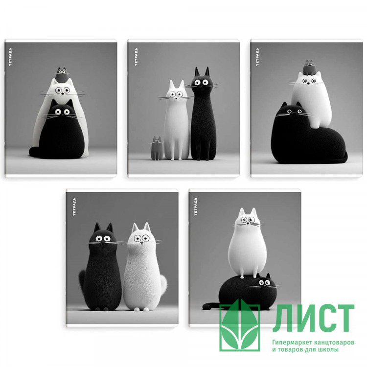 Тетрадь А5 клетка 48 листов скоба Феникс Черно-белые коты выборочный УФ-лак ассорти арт.70930