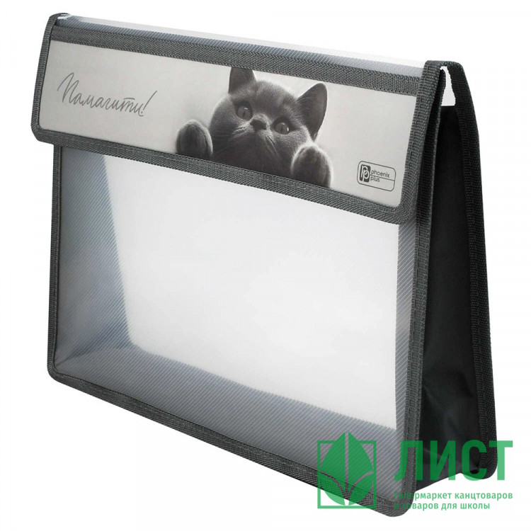 Папка школьная для тетрадей А4 на липучке 1отделение Феникс Британский кот арт.73700