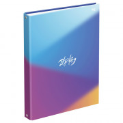 Тетрадь на кольцах А4 клетка 100 листов BG Все в порядке матовая ламинация арт.ТТ4к100_лм 62754