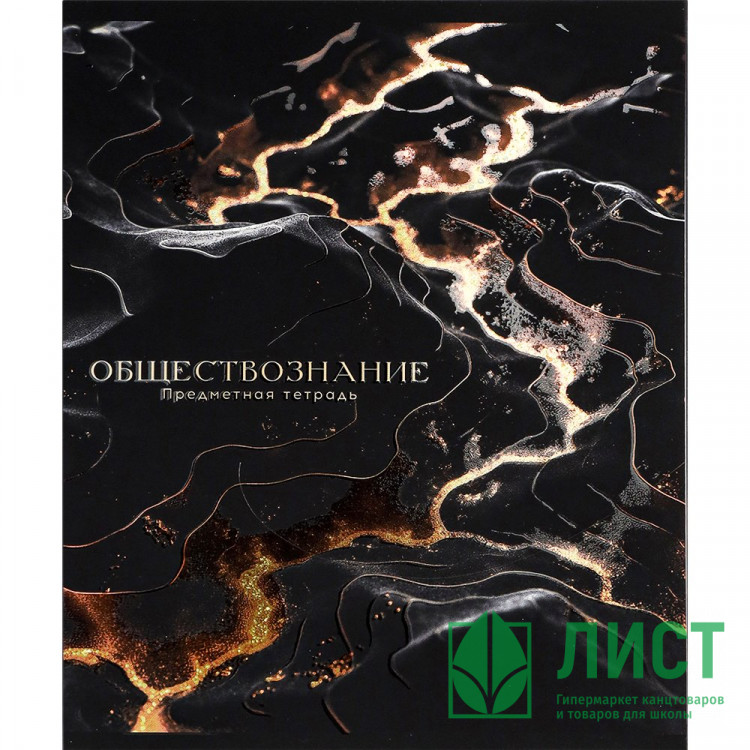 Тетрадь предметная 48 листов (Prof-Press) Black&Cold Обществознание холодная фольга софт-тач выборочный лак арт.48-2713