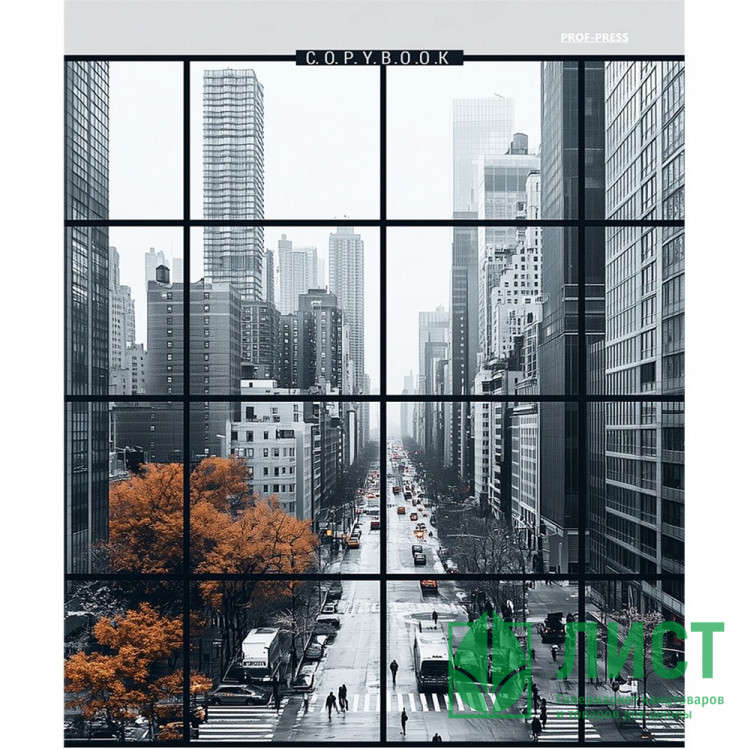 Тетрадь на кольцах А5 клетка 80 листов (Prof-Press) Вид на мегаполис глянцевая ламинация лен арт.Т80-4897