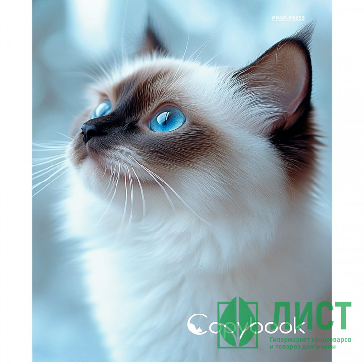 Тетрадь на кольцах А5 клетка 80 листов Prof-Press Голубоглазая кошка глянцевая ламинация лен арт.Т80-4895
