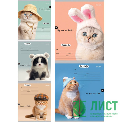 Тетрадь 24 листа клетка (Prof-Press) Головные уборы котов цветная мелованная обложка ассорти арт.24-5795 Тетрадь 24 листа клетка (Prof-Press) Головные уборы котов цветная мелованная обложка ассорти арт.24-5795