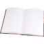 Записная книжка А5 твердая обложка 80 листов (Prof-Press) Девушка и кот глянцевая ламинация арт.80-1723 - 