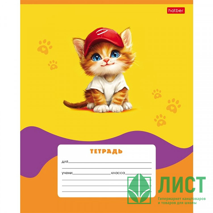 Тетрадь 12 листов клетка (Hatber) Мы-котики! Выпуск №2 ассорти арт 12Т5В1