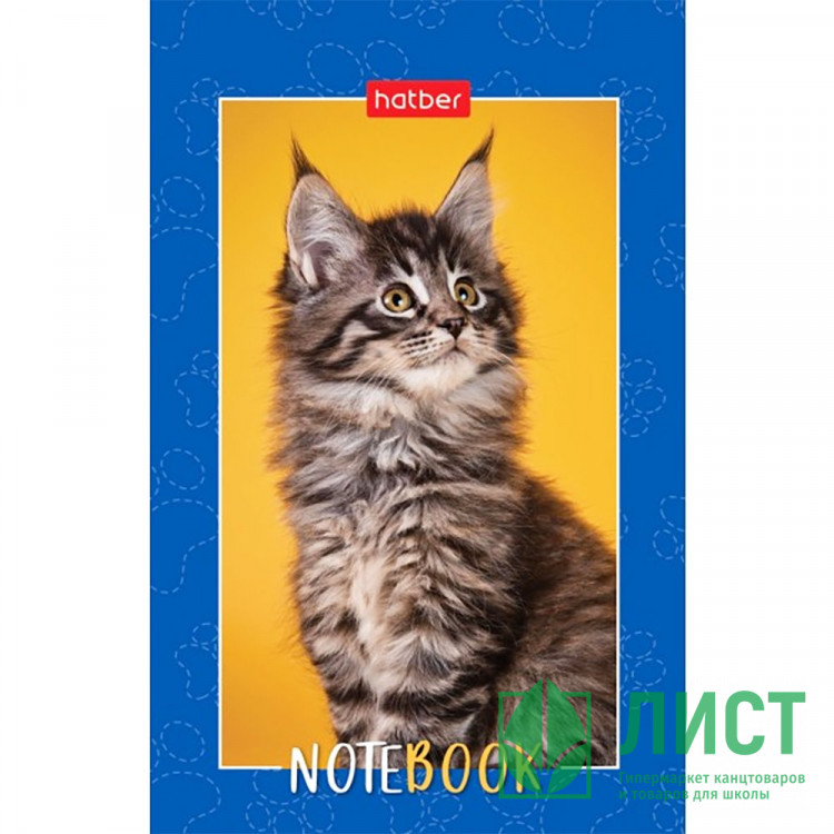 Блокнот А7 мягкая обложка склейка 48 листов (Hatber) Пушистые лапки клетка арт.48Б7В1к