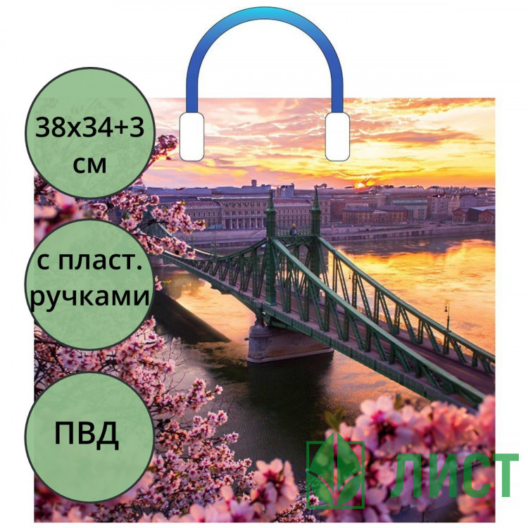 Пакет ПВД с пластиковыми ручками 38*34+3 90мкм Дунай