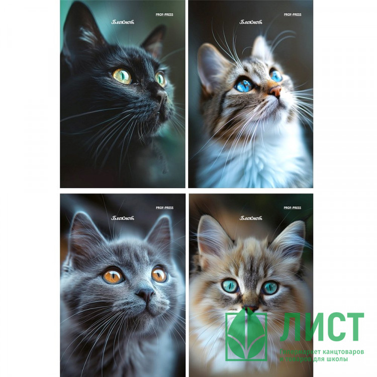 Блокнот А6 мягкая обложка скоба 24 листа (Prof-Press) Портретные фото котов ассорти арт.Б24-4695