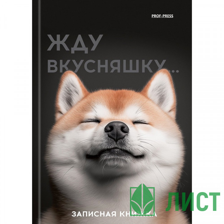 Записная книжка А6 твердая обложка 48 листов Prof-Press Милый забавный пес глянцевая ламинация лен арт.48-7096
