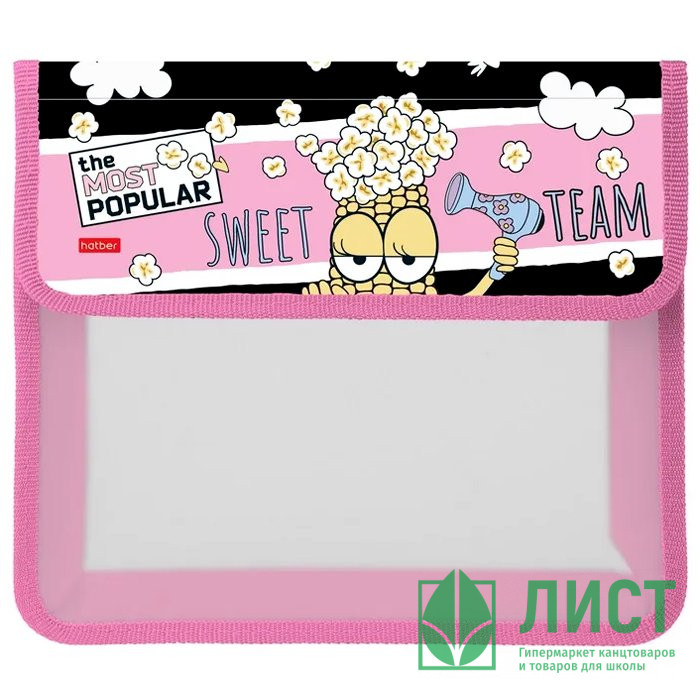 Папка школьная для тетрадей А5 на липучке 2 отделения (Hatber) Модная кукуруза арт. AMp_28085