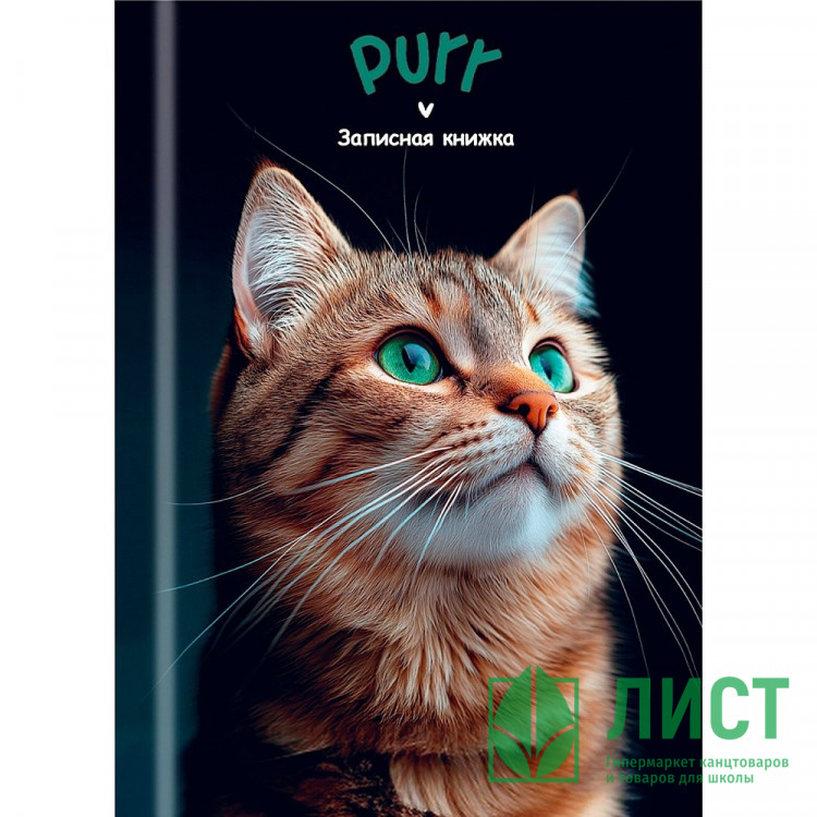 Записная книжка А7 твердая обложка 48 листов (Prof-Press) Зеленоглазый котик-1 глянцевая ламинация арт.48-8633