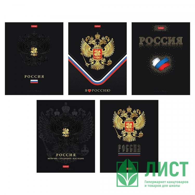 Тетрадь А5 клетка 48 листов скоба (Hatber) Россия матовая ламинация 3D фольга 3D лак скругленные углы ассорти арт.48Т5лофлВ1