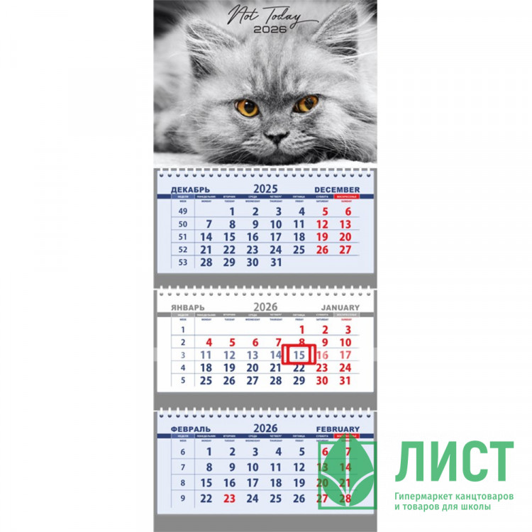 Календарь настенный 3-бл 2026 295*700 "Not Today" на 3 гребнях Attomex арт.2133530 (Ст.40)