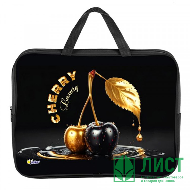 Папка А4 текстиль на молнии ручка-тесьма Оникс Вишня (Cherry gold) арт.ПМД2-20