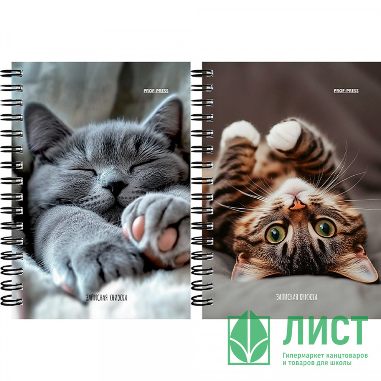 Записная книжка А6 мягкая обложка на гребне 120 листов Prof-Press Милые котики-6 глянцевая ламинация арт.ЗК120-3019