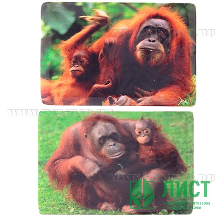 юМагнит СИМВОЛ ГОДА "Обезьяна" 7,5см асс. арт.663993