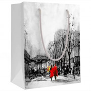 Пакет подароч. бумаж. 23*18см Влюбленные в городе арт.151802285