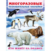 Книжка А4 с наклейками (Фламинго) Многоразовые наклейки Кто живет на полюсе арт.30575