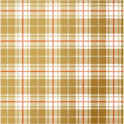 Салфетки бумажные 33*33см 3 слоя 20шт/уп. Bouquet "Клетка золотая" арт.25080