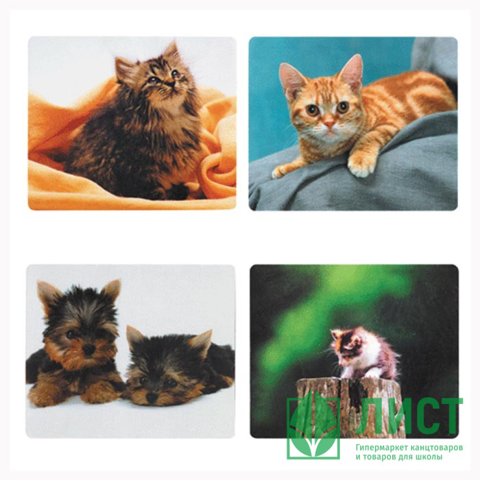 Коврик для мыши Defender шёлк-рисунок 50706