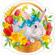 Украшение на скотче "Кролик в корзинке" 150*150мм арт.080.958