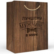 Пакет подароч. бумаж. 23*18см Лучшему мужчине в мире арт.15.11.02578